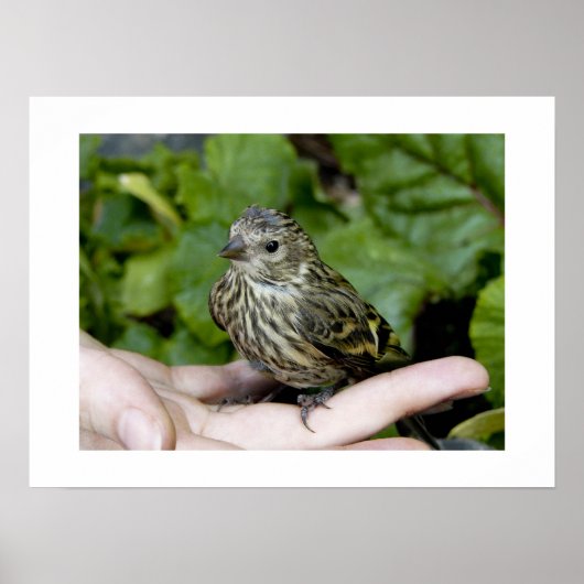 Oiseau en impression manuelle (Devant)