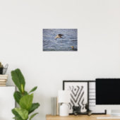 Oiseau en vol et affiche de Cormorant à double crê (Bureau à domicile)