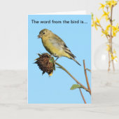 Oiseau (Finch) sur la carte d'anniversaire de tour (Fleur jaune)