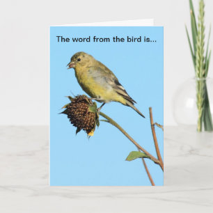 Oiseau (Finch) sur la carte d'anniversaire de tour