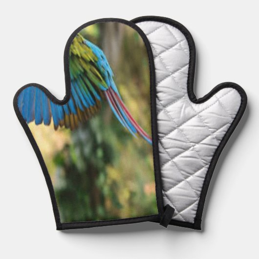 oiseau heureux (Recto/Verso)