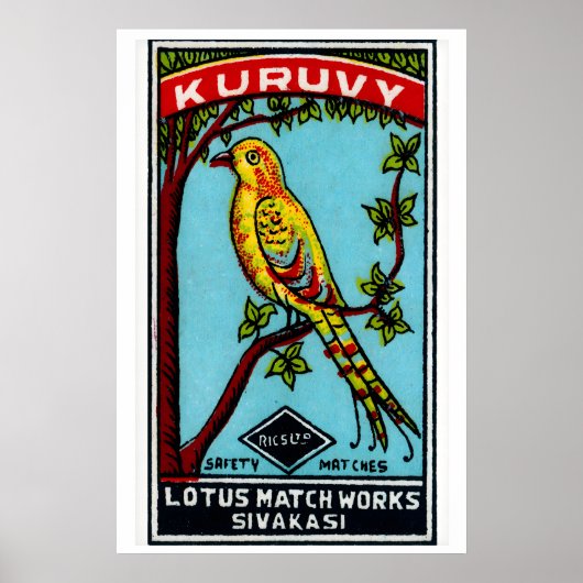 Oiseau jaune dans l'arbre - Impression de boîte d' (Devant)