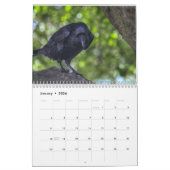 Oiseau magique 2018 de Ravenesque calendrier de 18 (Jan 2026)