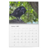 Oiseau magique 2018 de Ravenesque calendrier de 18 (Jan 2027)