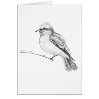 Oiseau mignon qui attrape chacun attention