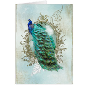 oiseau minable vintage de belle turquoise de paon