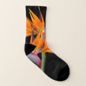 Oiseau orange de fleurs paradisiaques (Droite extérieur)