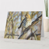 Oiseau perché sur une branche - Carte d'anniversai (Devant)