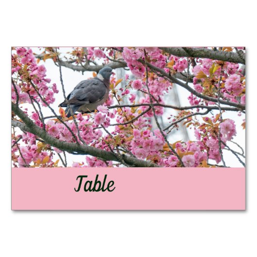 Oiseau perché sur une carte de table Sakura en fle (Devant)