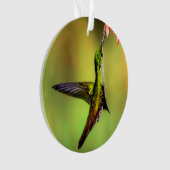 Oiseau rose de colibri (devant)