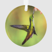 Oiseau rose de colibri (dos)