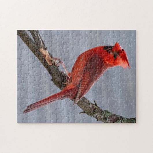 Oiseau rouge du Puzzle d'été (Horizontal)