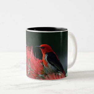 Oiseau rouge en Branche - Elégante Mug Nature