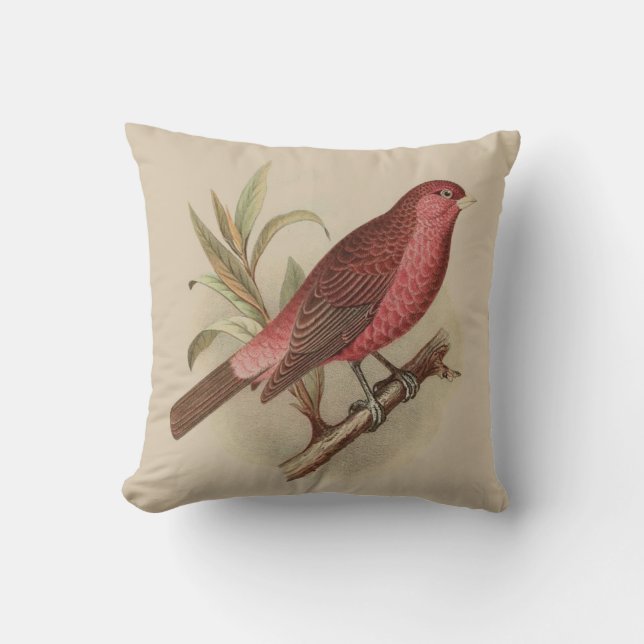 Oiseau rouge vintage sur le coussin de branche (Recto)