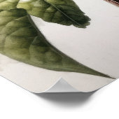 Oiseau roux Poster imprimé (Coin)