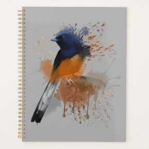 Oiseau Shama Rumpé Blanc