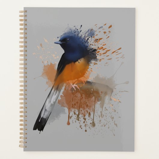 Oiseau Shama Rumpé Blanc (Devant)