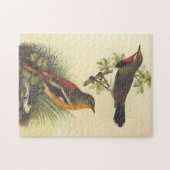 Oiseau sur Branche, Oiseau sur terre Puzzle (Horizontal)