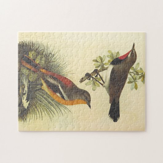 Oiseau sur Branche, Oiseau sur terre Puzzle (Horizontal)
