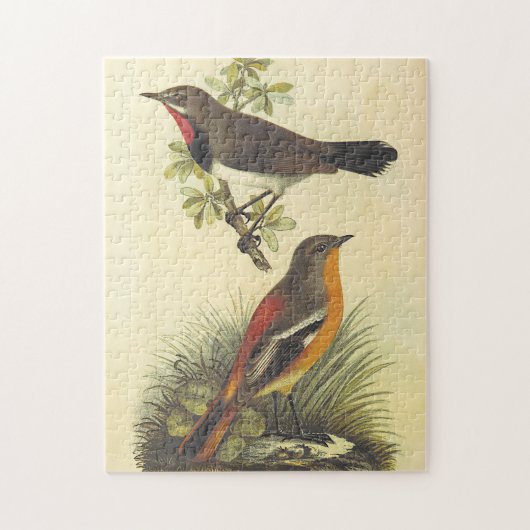 Oiseau sur Branche, Oiseau sur terre Puzzle (Vertical)