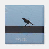 Oiseau sur un aimant de clôture (Devant)