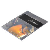 Oiseau sur un Carnet de pomme à moitié mangé (Côté gauche)