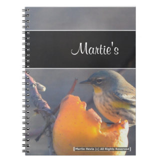 Oiseau sur un Carnet de pomme à moitié mangé