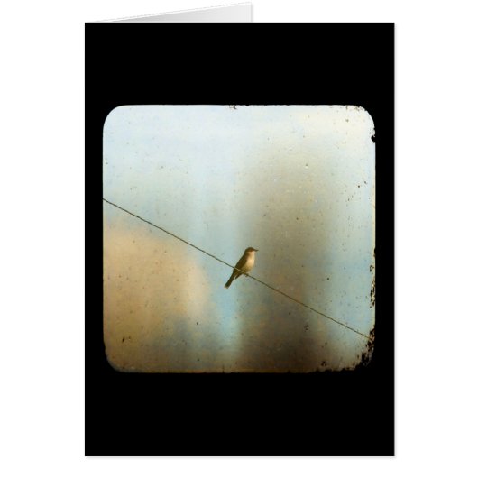 Oiseau sur un fil (Devant)