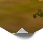 Oiseau sur une affiche de succursale (Coin)