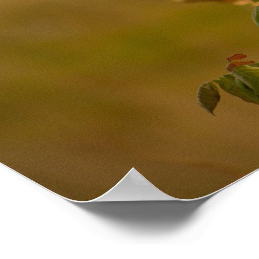 Oiseau sur une affiche de succursale (Coin)