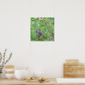 Oiseau sur une affiche de succursale (Cuisine)
