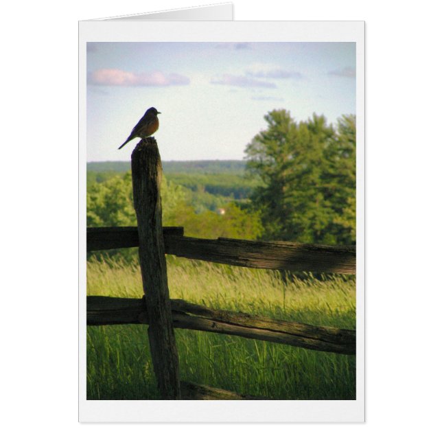Oiseau sur une carte de clôture (Devant)
