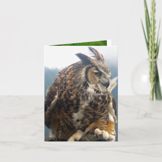 Oiseau trois toute la carte de note d'occasion (Devant)