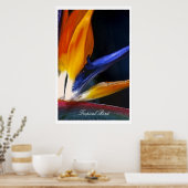 Oiseau tropical, affiche (Cuisine)
