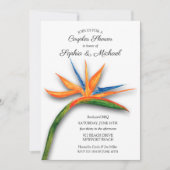 Oiseau tropical des couples de paradis Invitations (Devant)