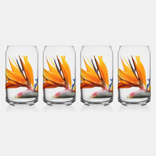 Oiseau tropical du Paradis Fleur Plante (Recto)