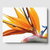 Oiseau tropical du Paradis Plante Mariage floral (Verso)