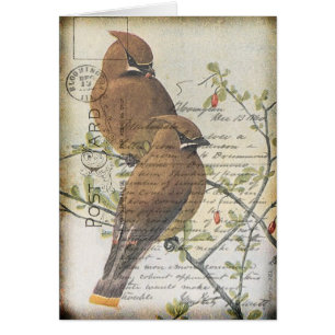 Oiseau vintage