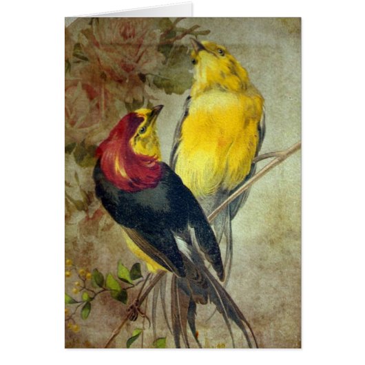 Oiseaux (Devant)