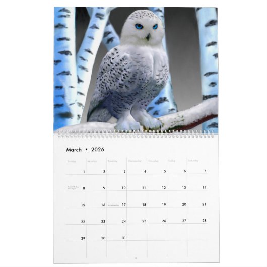 OISEAUX #1 DE CALENDRIER (Mar 2026)