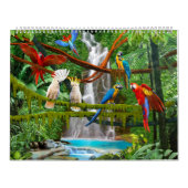 OISEAUX #1 DE CALENDRIER (Protection)