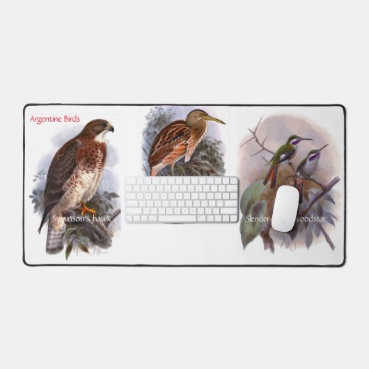 "Oiseaux argentins" (Clavier et souris)