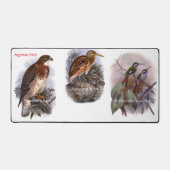 "Oiseaux argentins" (Recto)