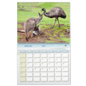Oiseaux australiens, Faune, Calendrier (Feb 2027)