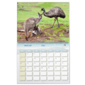Oiseaux australiens, Faune, Calendrier (Feb 2026)