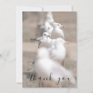 Oiseaux blancs Carte de remerciements plat à scrip