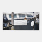 Oiseaux blancs sur une ligne dans le port (Clavier et souris)