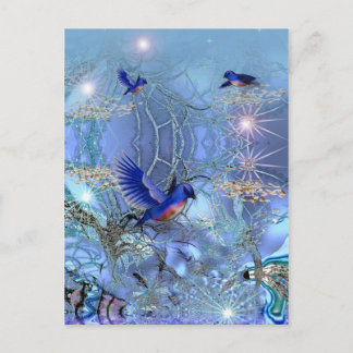Oiseaux bleus de carte postale