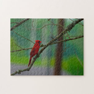 Oiseaux cardinaux. Puzzle