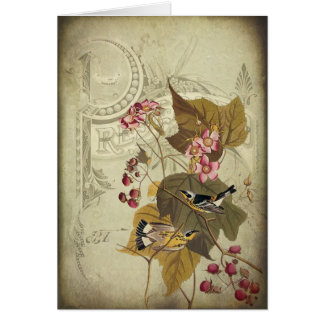 Oiseaux chanteurs et baies